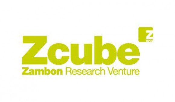 2003: Создание Z-Cube